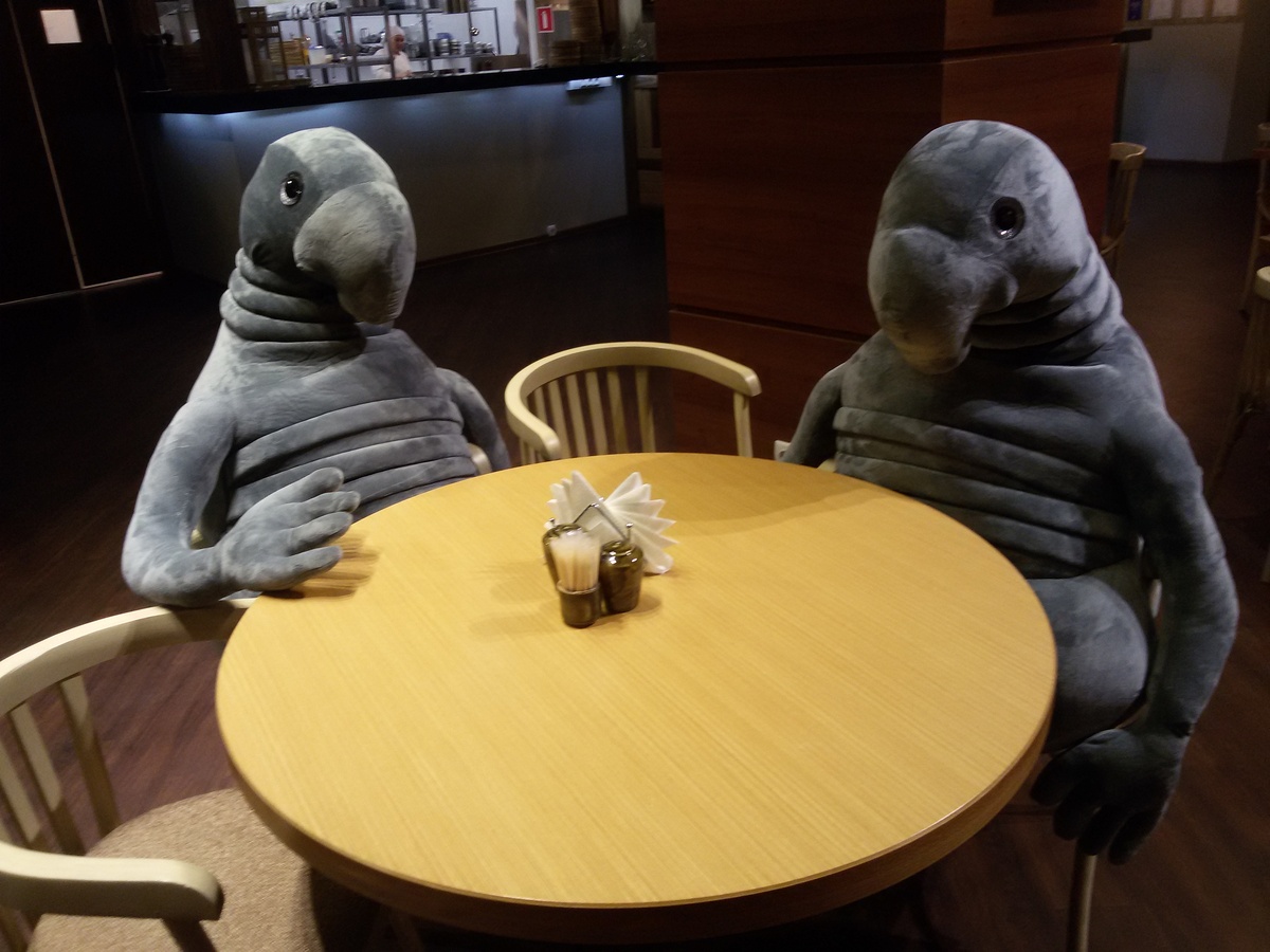 Фото из личного архива :)