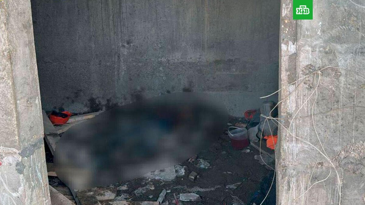    Фото: moscowproc / t.me