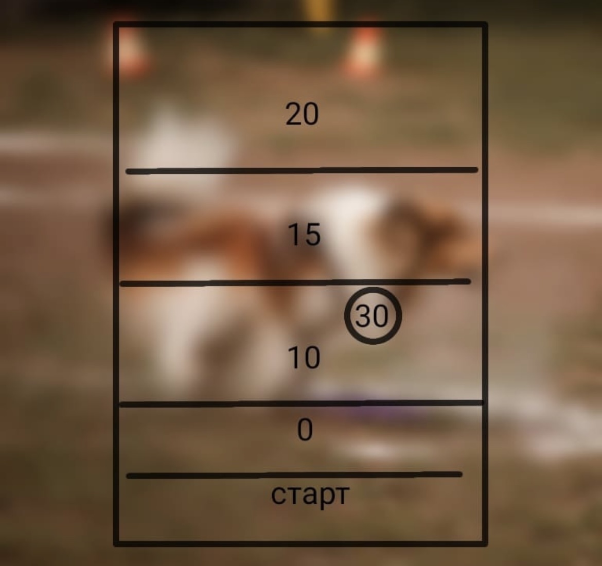 Пример разметки поля для игры