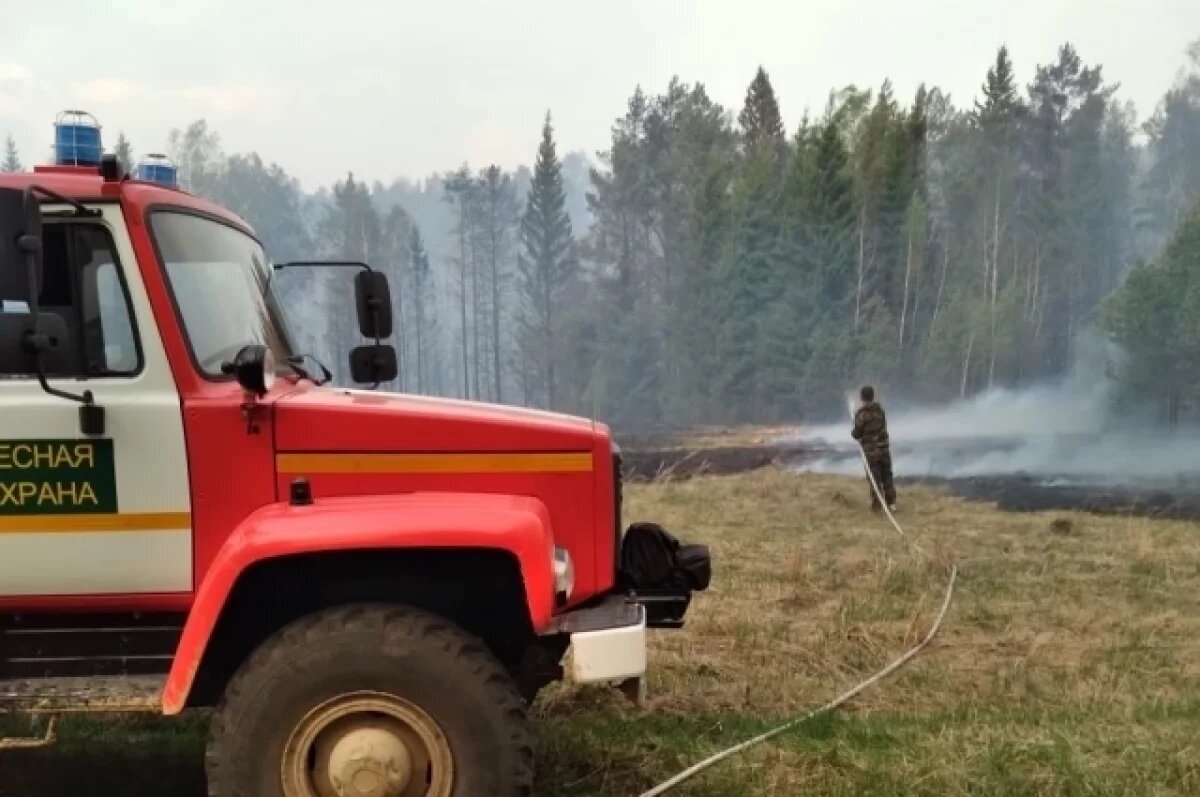    Пожароопасный сезон в лесах Пермского края начнётся с 28 апреля