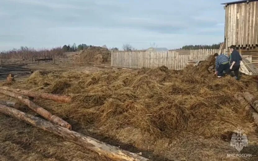    Второклассник поджег сено во дворе частного дома в Кезском районе