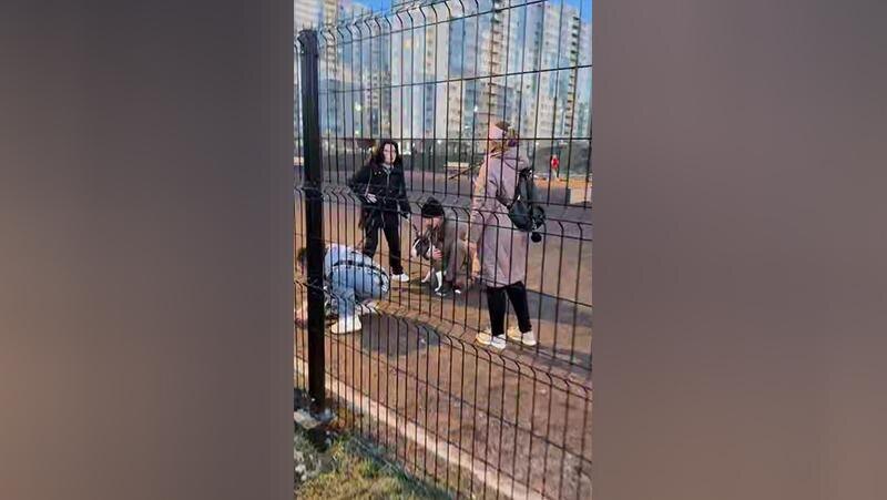    Фото: t.me/infokanal_nebo