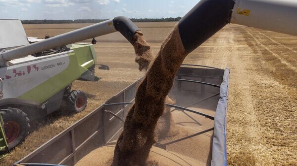    © Sputnik / Виталий Тимкив