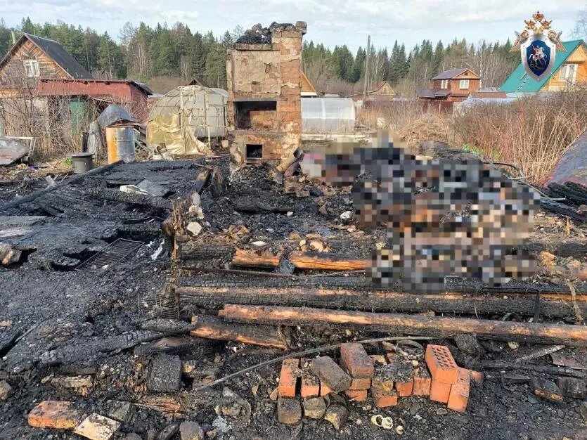 Фото: СУ СКР по Челябинской области/ГУ МЧС России по Челябинской области