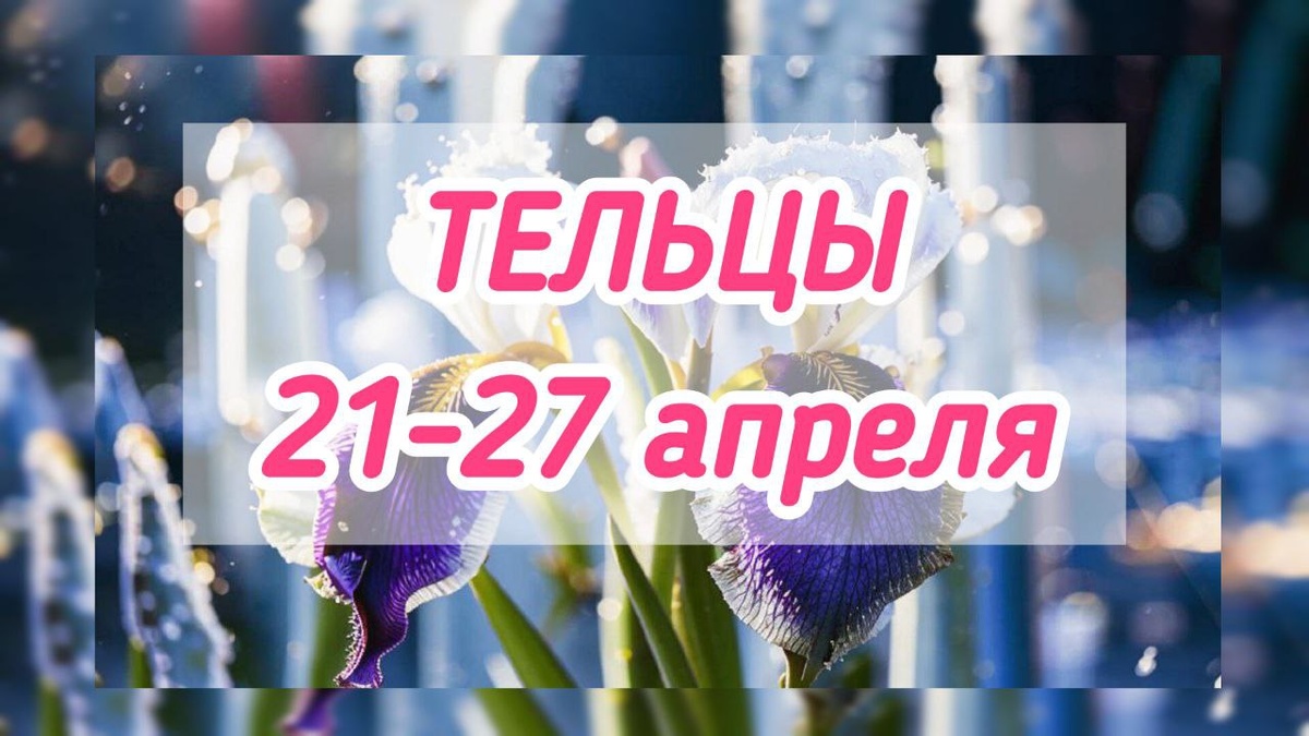 фото принадлежит автору канала