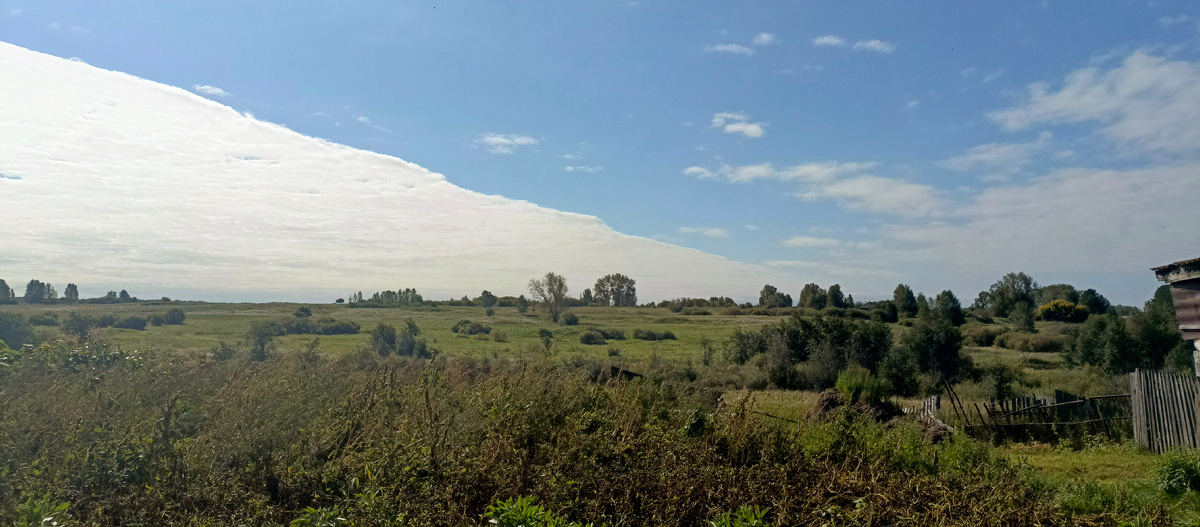 Виды вокруг