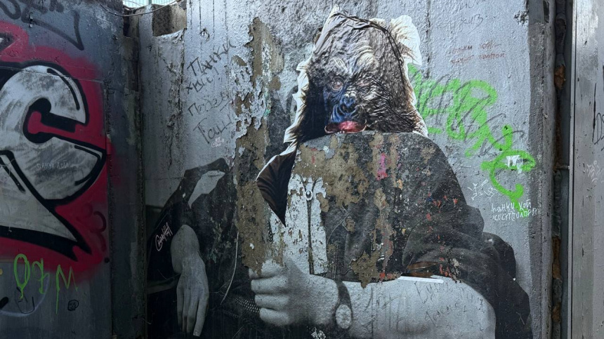    Фото: ИЗВЕСТИЯ/Анастасия Ионова; 5-tv.ru