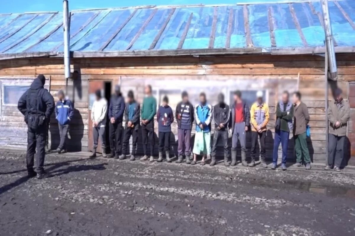    Силовики проверили теплицы и Челябинский аэропорт в поисках нелегалов