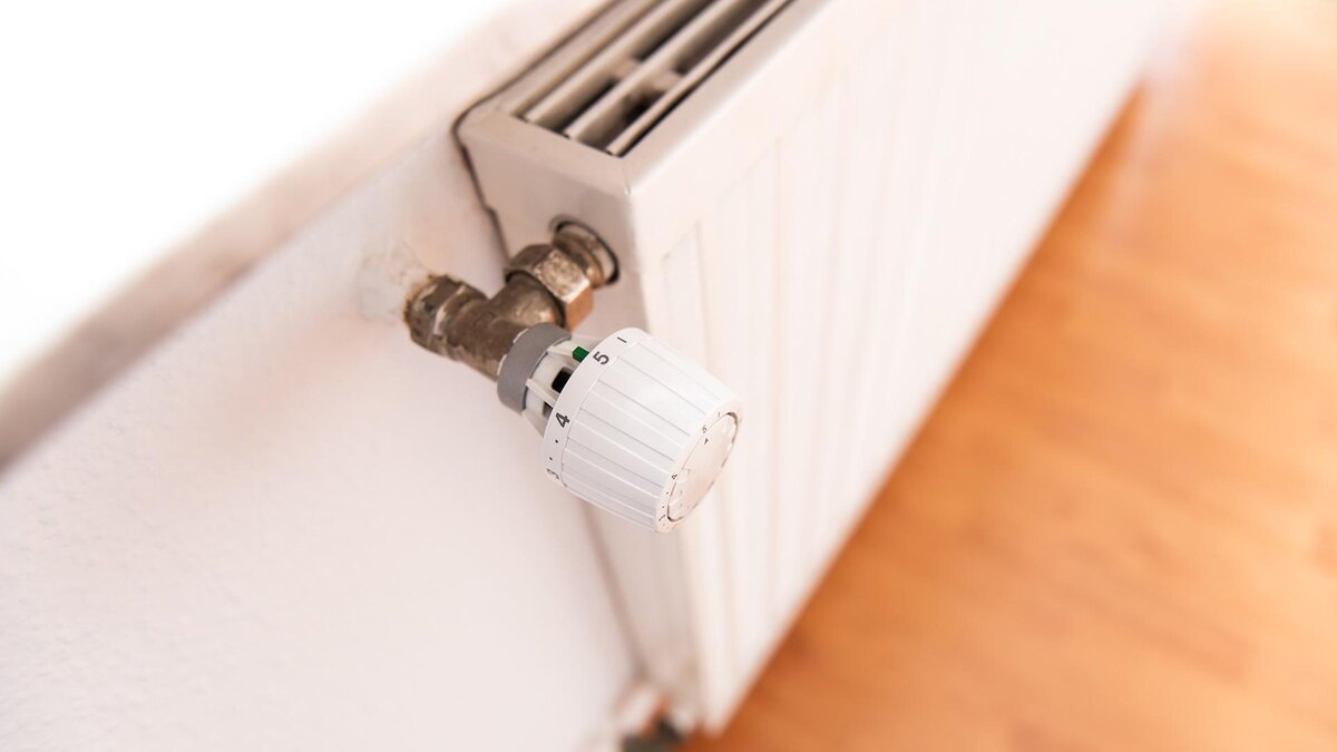    Фото: Silas Stein/globallookpress.com