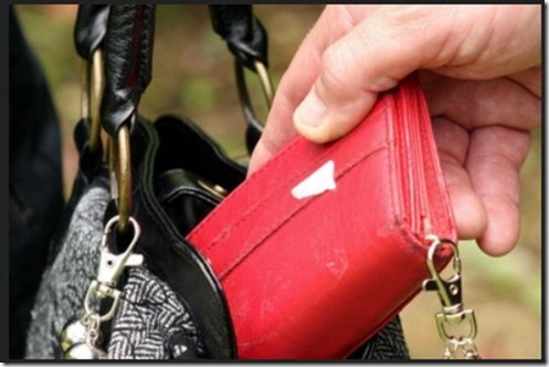 Фото из интернета. Пашка в "деле".