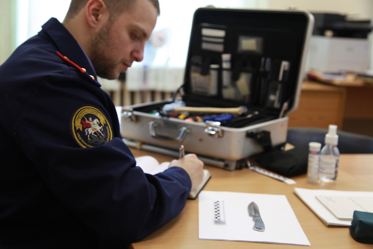 Фото: Следком Карелии  📷
