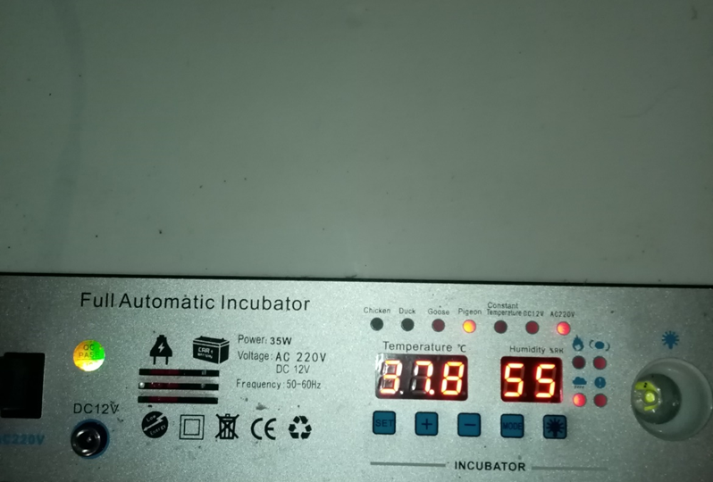 Калибровка инкубатора