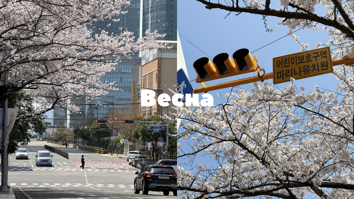 Весна в Корее