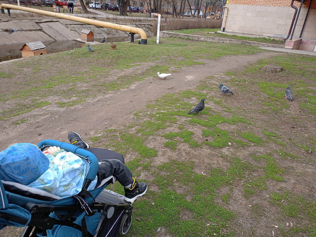 Марку очень птички нравятся