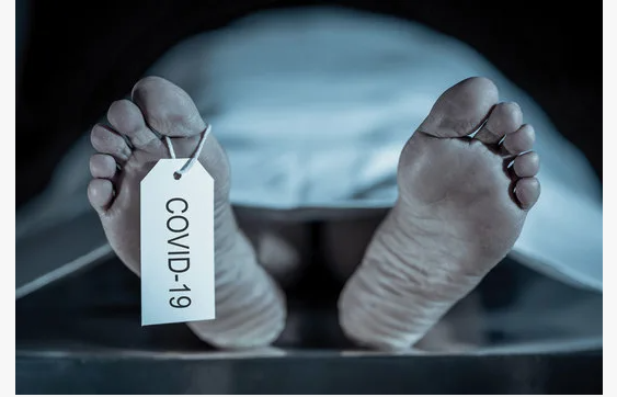 Источник фото: stock.adobe.com