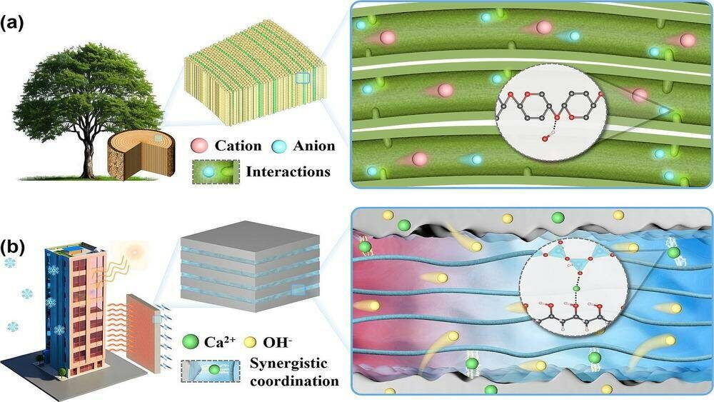 Автор: https://avatars.mds.yandex.net/get-images-cbir/10235538/v5Z4tt70fmOvcjiHQ-BL5Q8125/ocr