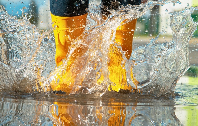    Shutterstock/FOTODOM