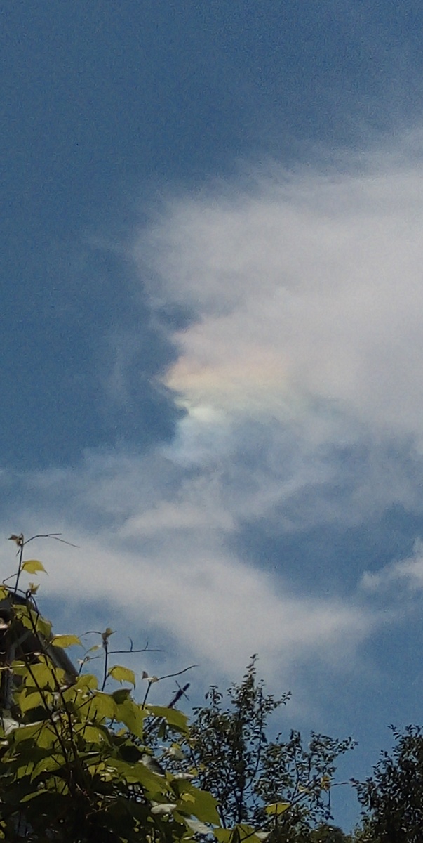 Фото из личного архива