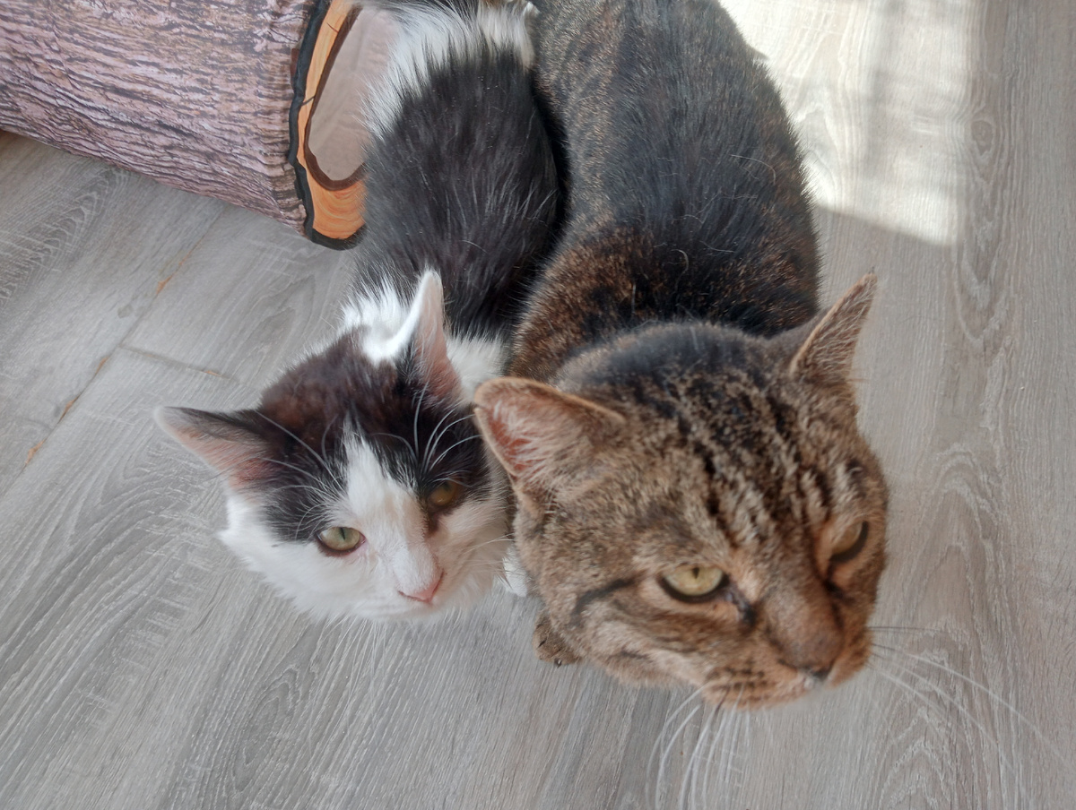 Явно недовольные учасники истории