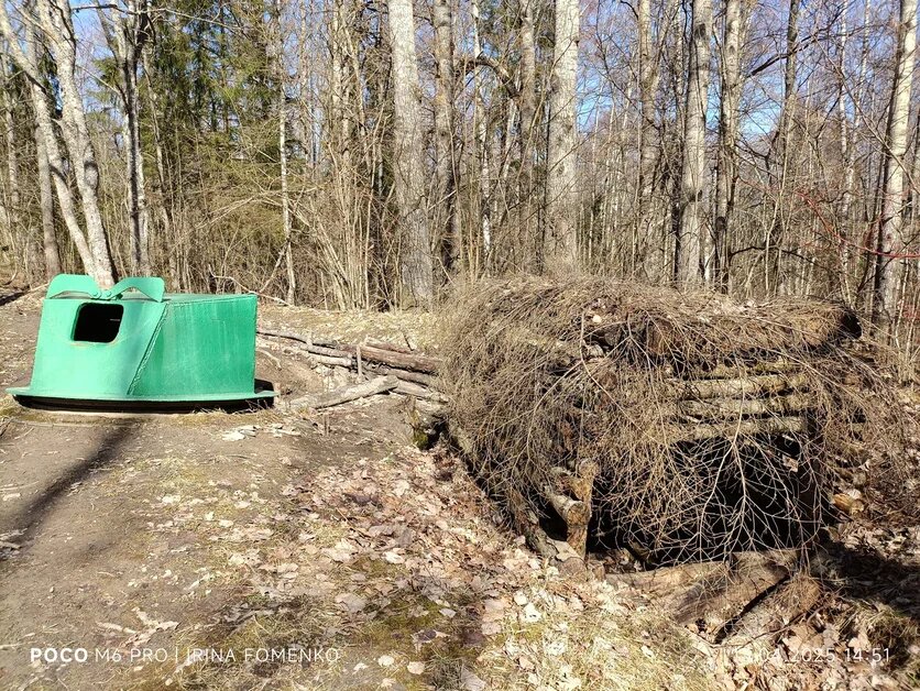 Гостилицы. Фото автора (листайте галерею)