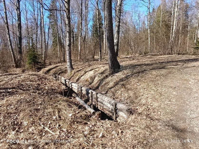 Гостилицы. Фото автора 