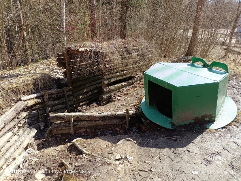 Гостилицы. Фото автора (листайте галерею)