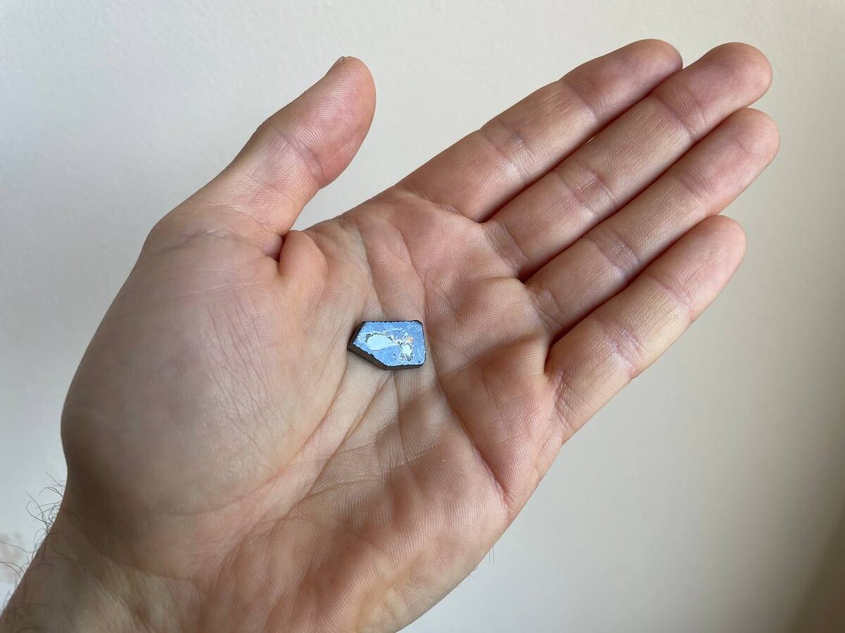 Ольгафранкит на руке исследователя. Источник: Олег Верещагин