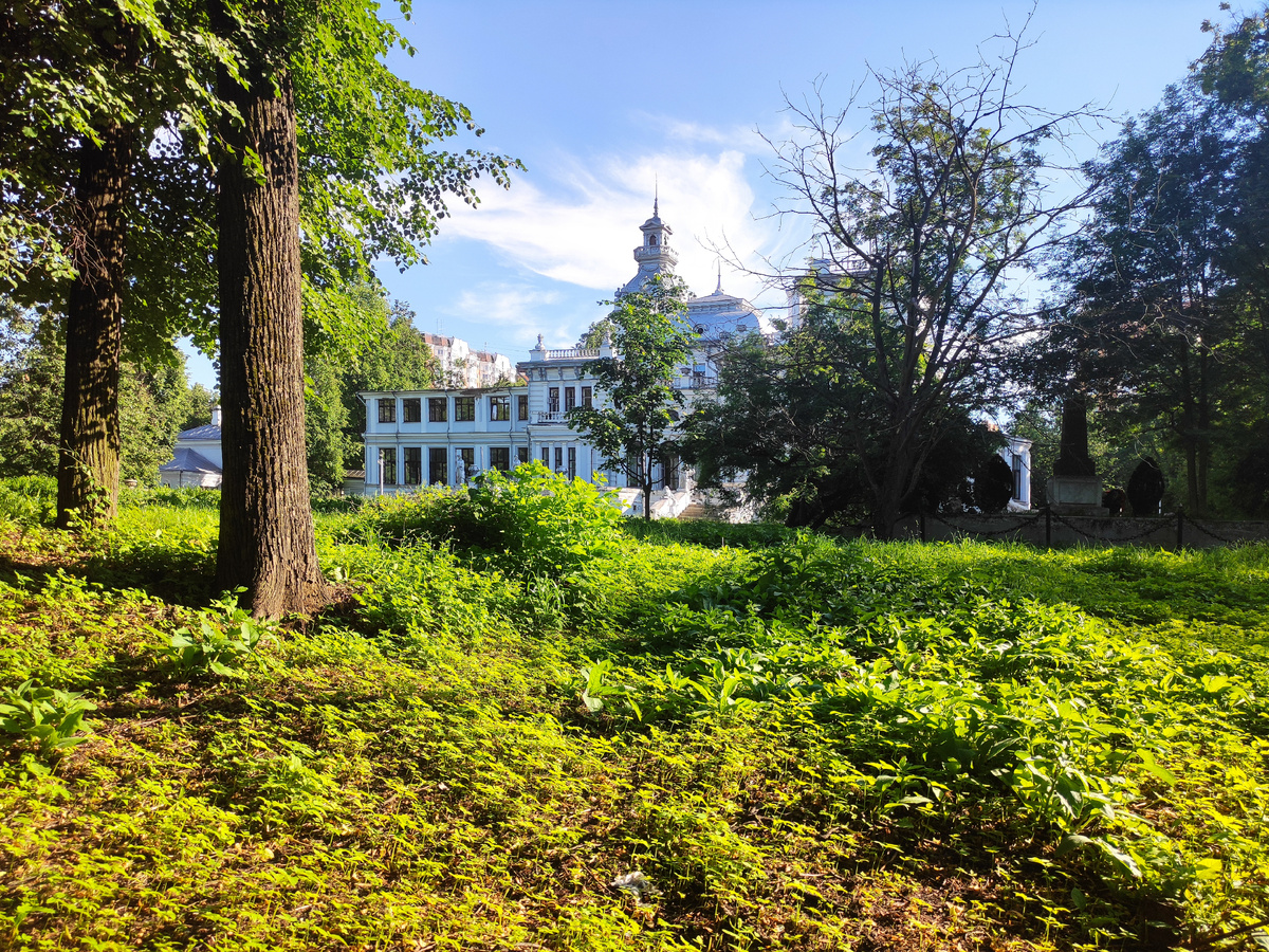 Вид со стороны приусадебного парка. Фото автора статьи.