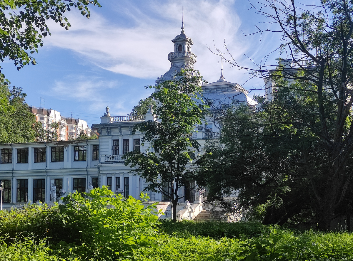 Вид со стороны приусадебного парка. Фото автора статьи.