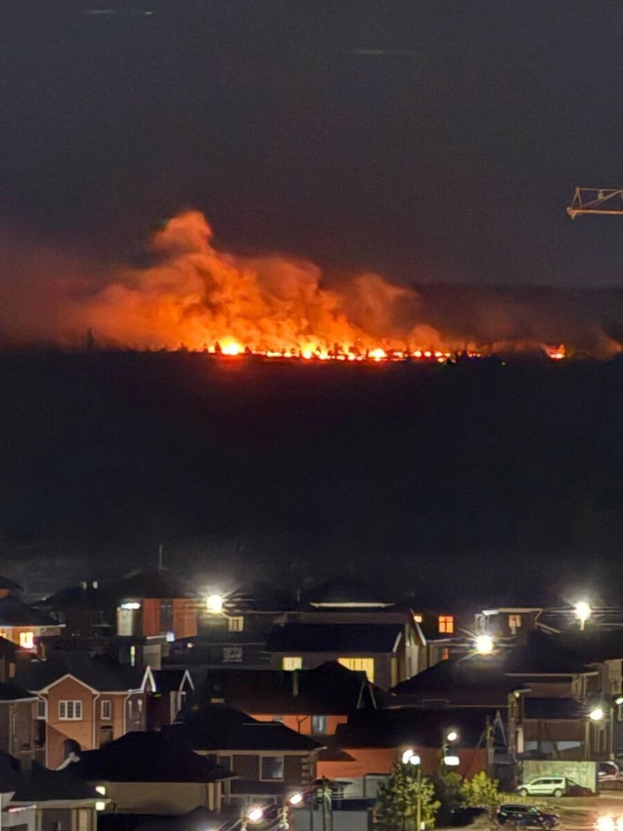    Официальная версия - горение сухой травы. Фото:  АиФ
