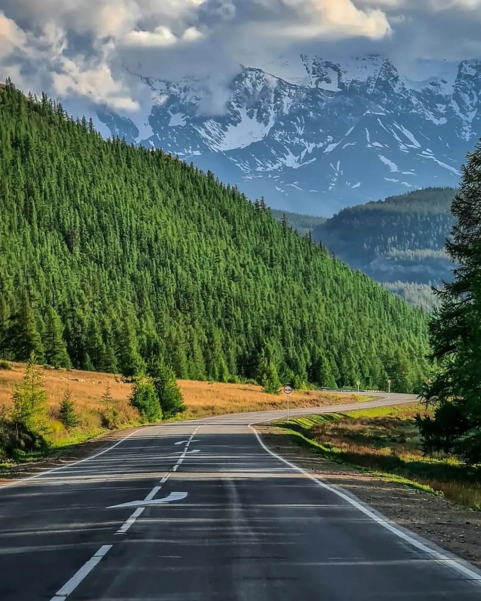 Чуйский тракт. Автор фото: Антон Мелёшкин Inst: Anton_melyoshkin