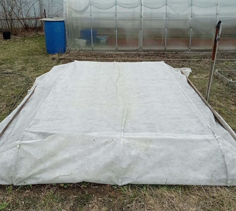 Клубничная коммуналка.