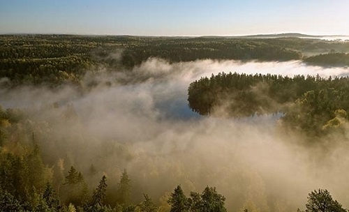 Что такое туман?