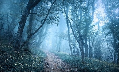 Что такое туман?