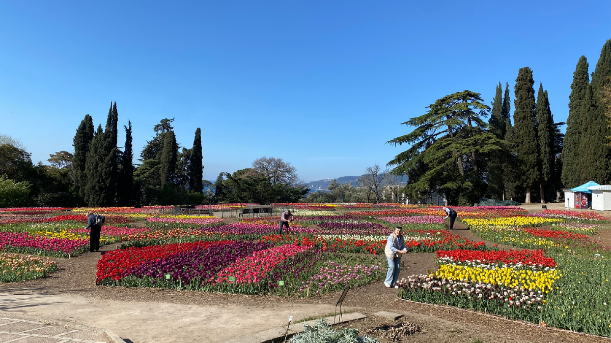 Вот так в 9 утра