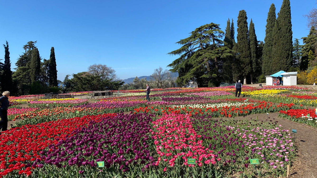 А еще здесь жужжат пчелы