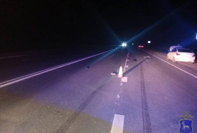    Фото: ГУ МВД России по Самарской области