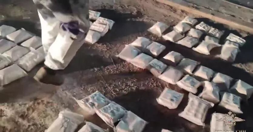 Фото: ГУ МВД России по Челябинской области