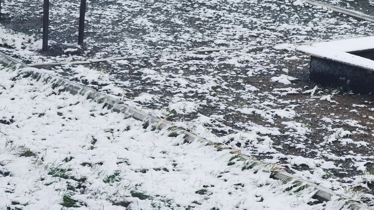     Автор: Эмилия Губарева Источник: atas.info