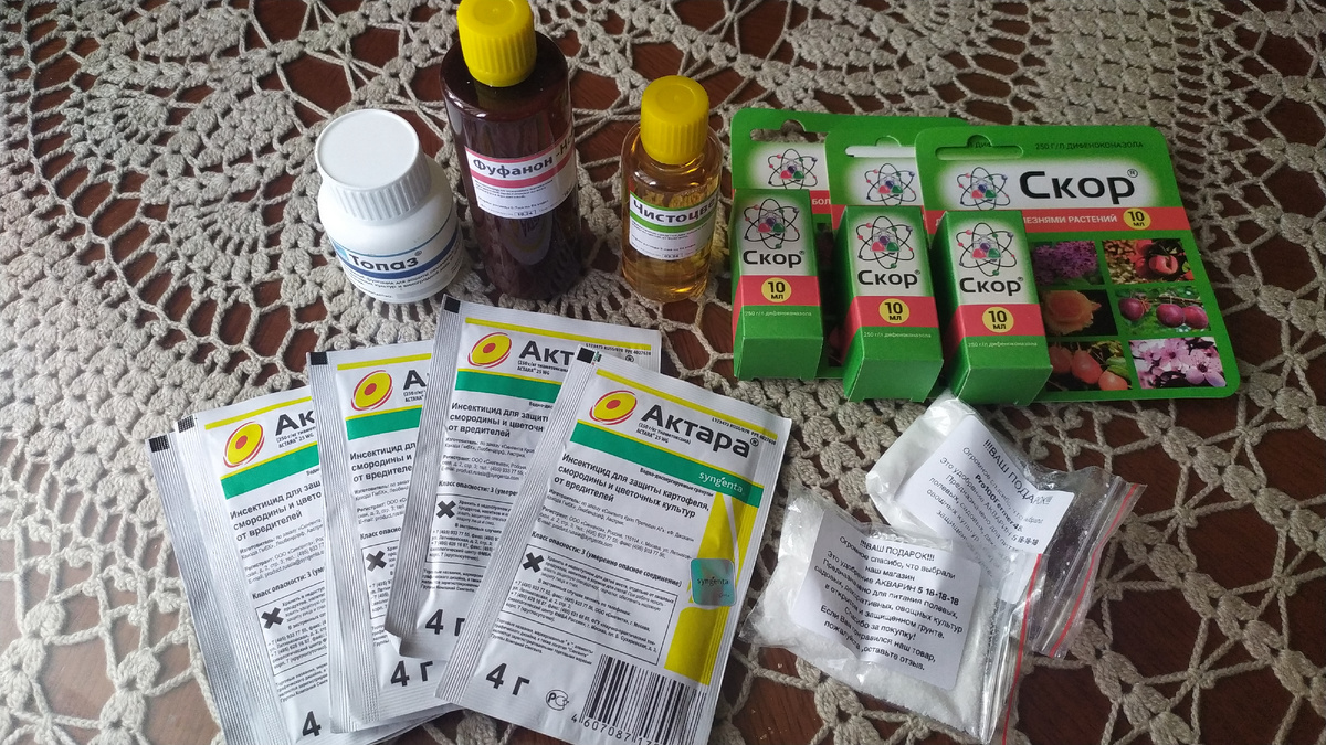 Мои покупки. 