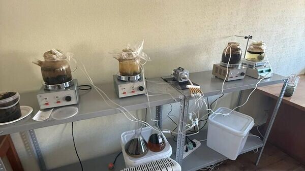    © Telegram-канал министра экологии и природных ресурсов Республики Крым