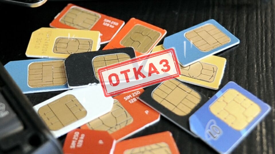 Коллаж автора. 