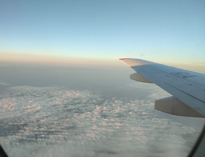    Екатерина Елисеева