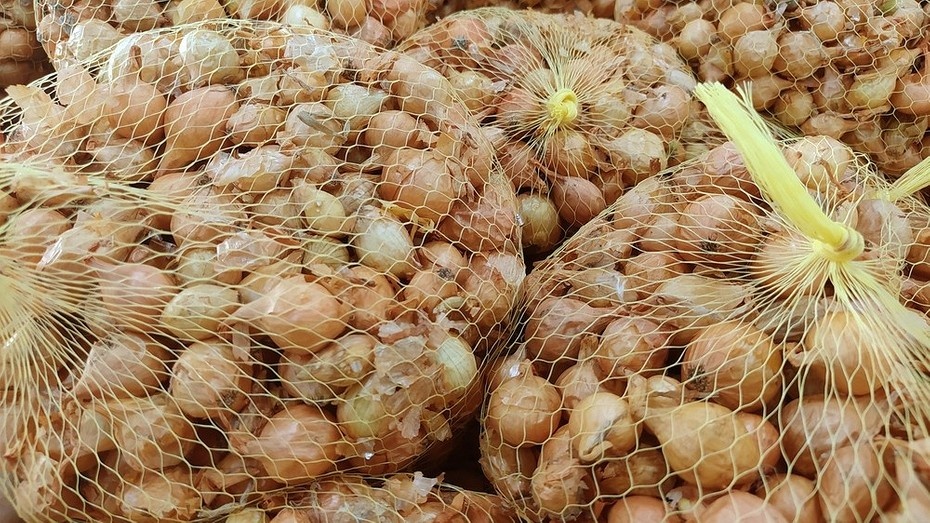 ShutterStock/Fotodom.ru