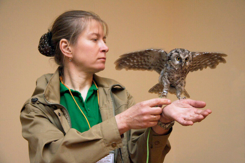    Ольга Волкова