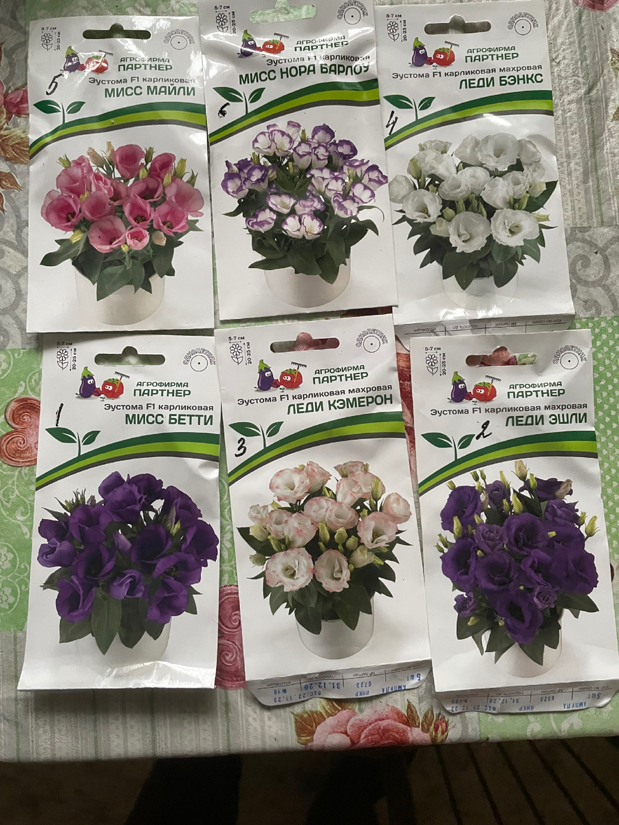 Эустома карликовая 2025