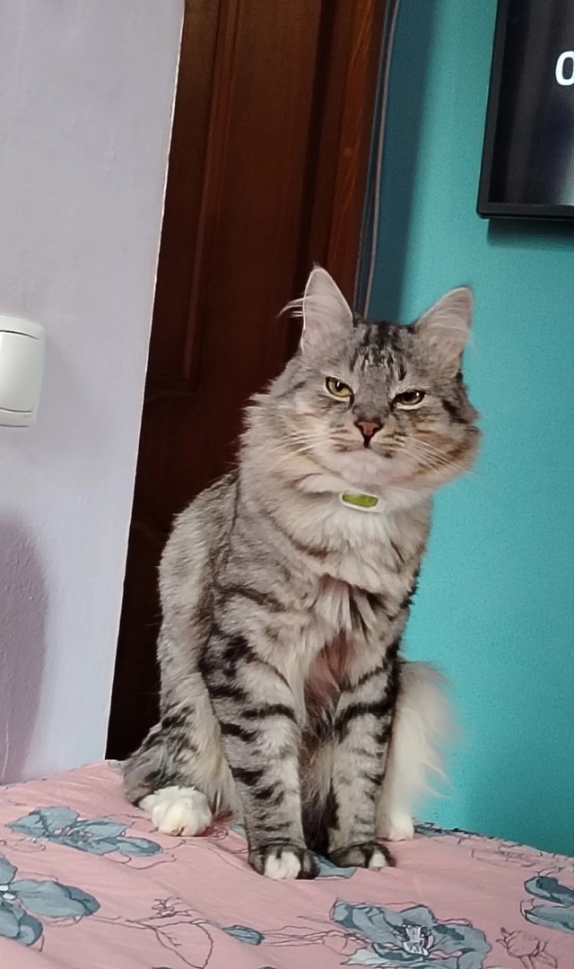 иллюстрация из яндекс картинки.