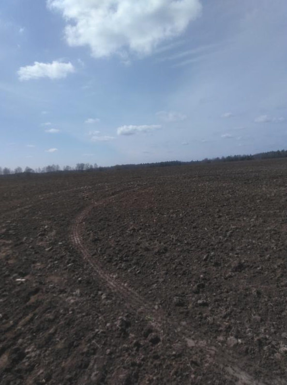 По полю, как по асфальту.