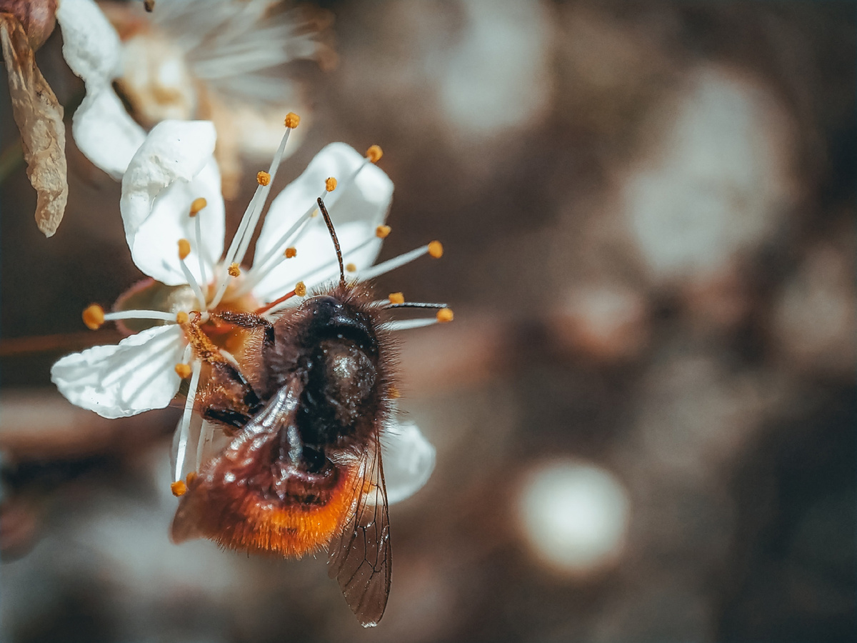 Фото: Daria Grigorenko