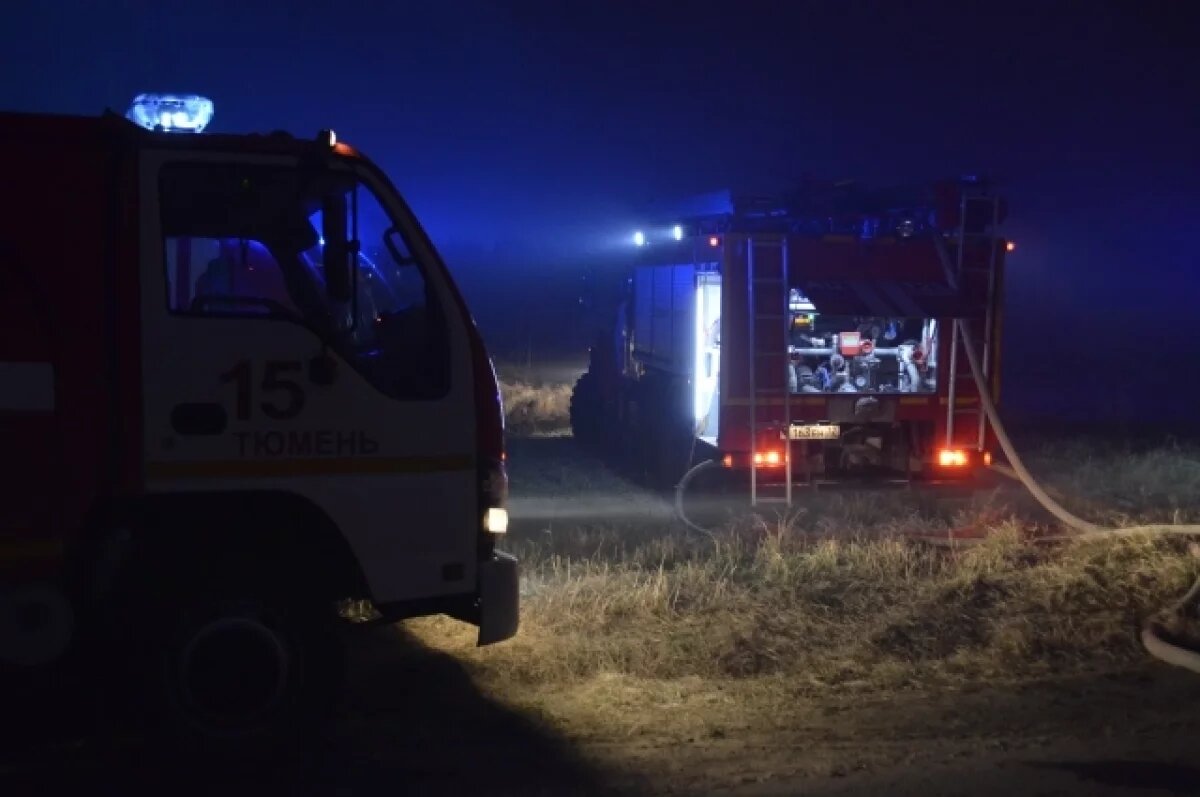    В Тюменской области с начала года зафиксировано 35 ландшафтных пожаров